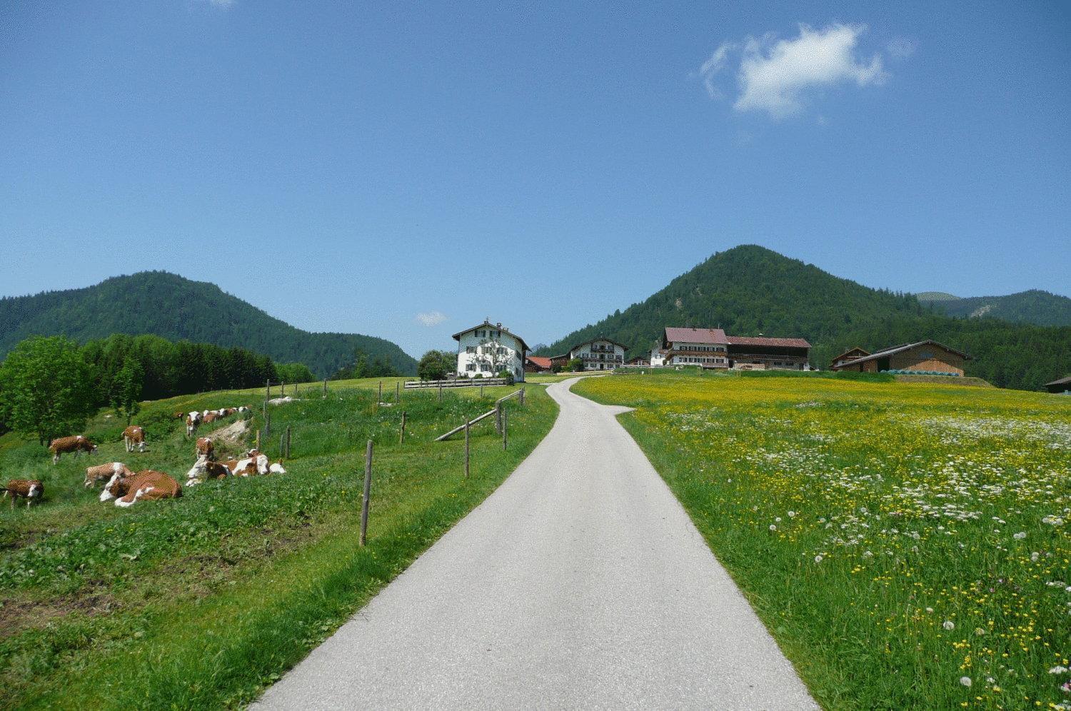 Отель Gasthof Яхенау Экстерьер фото